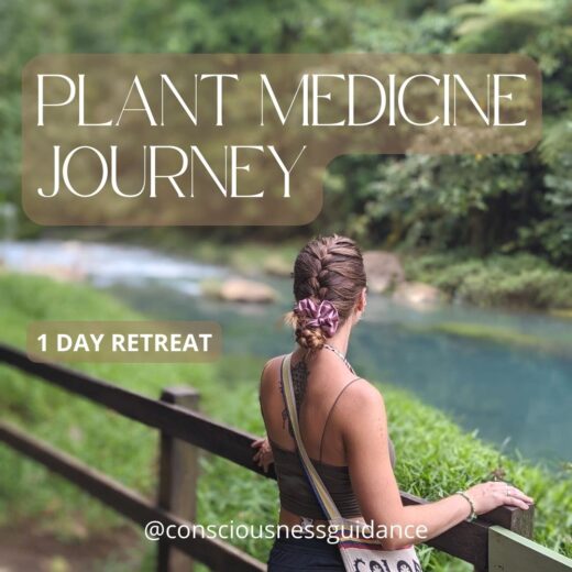 Plant medicine journey consciousness guidance one day retreat